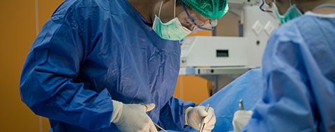 Building the clinical basis for organ transplantation
