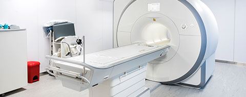 Developing the full body MRI scanner